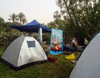 8 мая состоится фестиваль авторской песни в парке "Сахне"