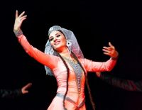 «Картули» значит «грузинский»