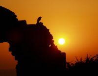 Любовь РОЗЕНФЕЛЬД