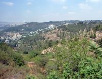 Национальные парки и леса на праздниках посетили полмиллиона израильтян