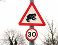 В Израиле появится новый дорожный знак: "Осторожно, лягушки!"