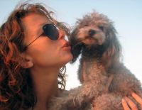 Важность уборки за домашними животными