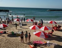 "Зелёные комиссии"