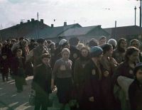 Германия будет платить пенсии всем, кто работал в гетто