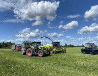 Может ли Израиль прокормить себя, опираясь только на собственные ресурсы