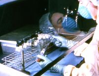 Израильская компания будет разрабатывать в Фукусиме лечение для лучевой болезни