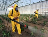 Новый прибор по измерению остаточного количества пестицидов и нитратов