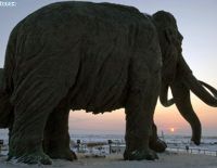 Российские учёные могут клонировать... мамонта (видео)