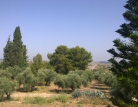 Израильский проект оптимального управления водным хозяйством штата Невада