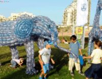 Ещё четыре школы в Ашкелоне получат статус «зелёных»