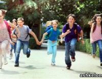 К началу учебного года