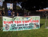 Они нашли тёплый дом