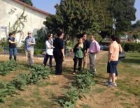 Представители Балтиморской еврейской общины на городской учебной ферме