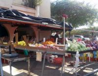 Продолжается борьба с незаконными постройками на территории города