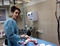 Совместными усилиями