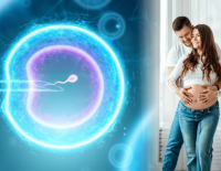 Минздрав запретил больнице Ассута временно принимать новых пациенток на ЭКО