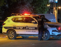 Полицией раскрыто убийство матери троих детей в центре Тель-Авива