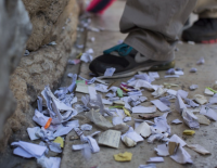 Стену плача очищают перед Песахом: работники извлекают тысячи записок, чтобы потом их похоронить