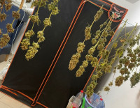 В эвакуированном Сдероте полиция обнаружила действующую нарколабораторию