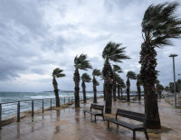 В Израиле усилятся грозы и ливни: велик риск внезапных наводнений