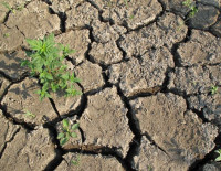 В Израиле — засуха, какой не было последние 100 лет