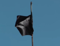 В Тель-Авиве срочно закрыли пляжи из-за появления акул, в Ашдоде и Ашкелоне черные флаги