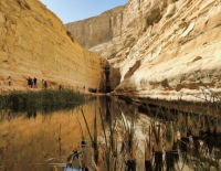 В заповеднике Эйн-Авдат погиб 19-летний парень