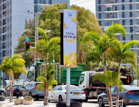 «И позволь нам вернуться и увидеть это снова…» (Шломо Арци)