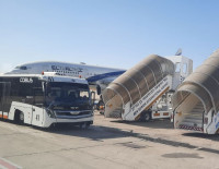 Израильская стюардесса стала настоящей звездой Tik Tok