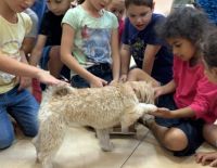 Ашкелонским репатриантам подняли настроение в праздники