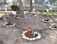 Приглашаем ашкелонцев на мероприятия Ту би-Шват