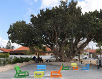 Суккот в Ашкелоне: Суккот на большой лужайке