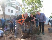 Ту би-Шват 2019