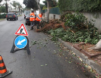 Муниципалитет Ашкелона готовится к зимнему сезону