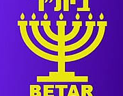 Муниципалитет возродит движение Бейтар