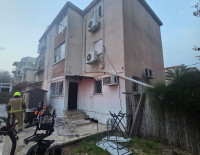 Ночной пожар в Ашкелоне: пострадали двое людей и собака