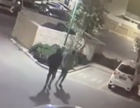 Полиция Ашкелона предъявила обвинение трем арестованным несовершеннолетним, которые хотели &laquo;свести счеты&raquo; с полицейским