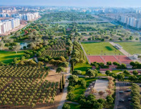 Присоединяйтесь к ашкелонскому успеху