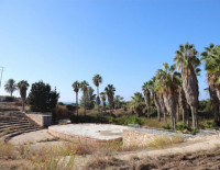 Реновация амфитеатра в Национальном парке Ашкелона