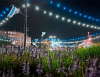 Сине-белые цвета по всему Ашкелону