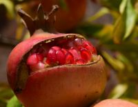 Давид Бен Авраам: Поздравляем с праздником Рош а-Шана!