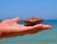 Спасатель на пляже около Ашкелона нашел светильник XII века