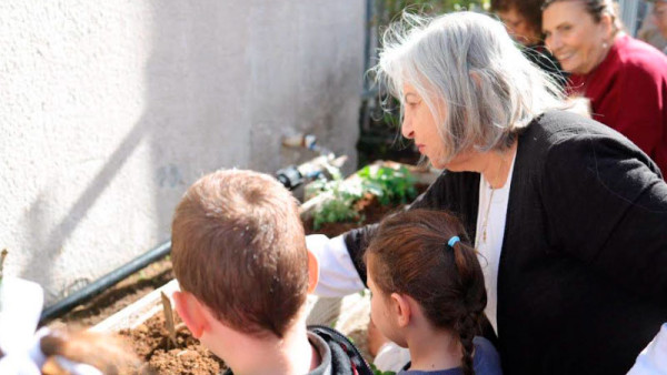 Совместная посадка деревьев в Ашкелоне