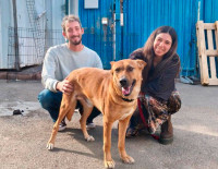 В Ашкелоне стартует стипендиальная программа *Друг моей собаки*