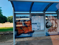 В Ашкелоне задержан уличный вандал, им занимается полиция