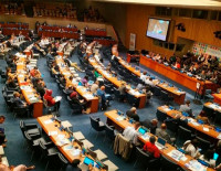 Впервые в Израиле: в Ашкелоне пройдет суд *Гуманность против ХАМАС*