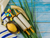 Жителям Ашкелона бесплатно раздадут пальмовые ветви для сукки