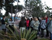 Ту би-Шват  для юных репатриантов