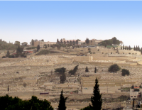 Обнародован прейскурант захоронений на самом дорогом кладбище Израиля - открыто уголовное дело по фактам коррупции