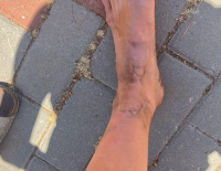 Водитель автобуса в Ариэле закрыл репатриантку в багажнике, оставив на дороге ее 3-летнюю дочь